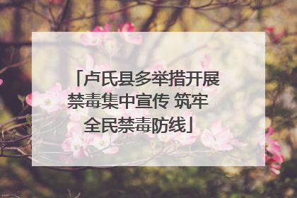 卢氏县多举措开展禁毒集中宣传 筑牢全民禁毒防线