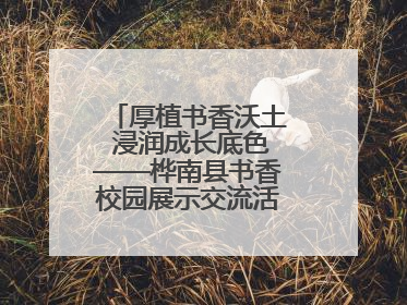 厚植书香沃土 浸润成长底色——桦南县书香校园展示交流活动圆满举行
