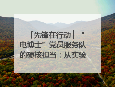 先锋在行动 ▏“电博士”党员服务队的硬核担当：从实验室到抗洪一线