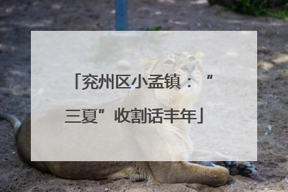 兖州区小孟镇：“三夏”收割话丰年