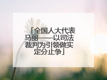 全国人大代表马丽——以司法裁判为引领做实定分止争