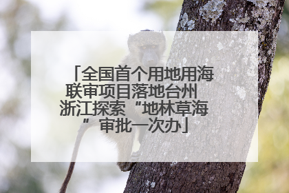 全国首个用地用海联审项目落地台州 浙江探索“地林草海”审批一次办