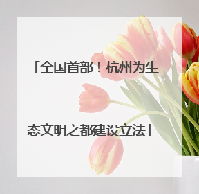 全国首部！杭州为生态文明之都建设立法