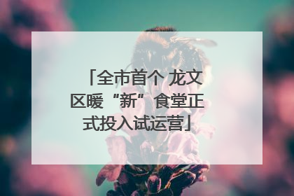 全市首个 龙文区暖“新”食堂正式投入试运营