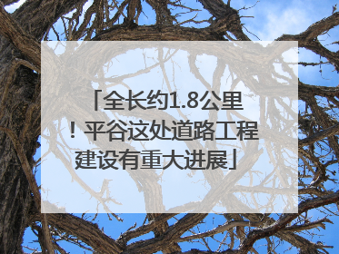 全长约1.8公里！平谷这处道路工程建设有重大进展