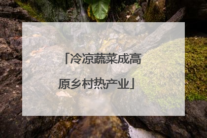 冷凉蔬菜成高原乡村热产业