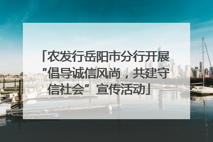 农发行岳阳市分行开展“倡导诚信风尚，共建守信社会”宣传活动