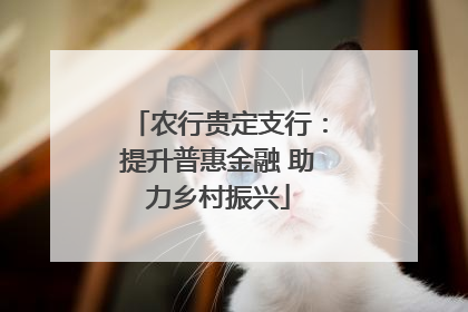 农行贵定支行：提升普惠金融 助力乡村振兴