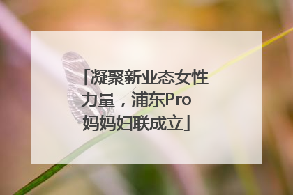 凝聚新业态女性力量，浦东Pro妈妈妇联成立