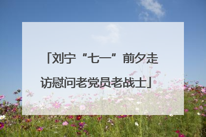 刘宁“七一”前夕走访慰问老党员老战士