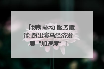 创新驱动 服务赋能 跑出演马经济发展“加速度”