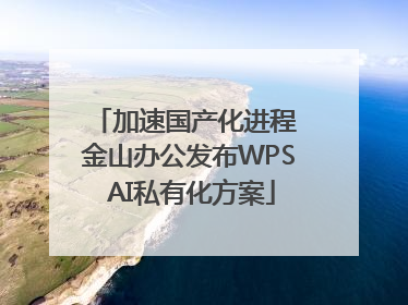 加速国产化进程 金山办公发布WPS AI私有化方案