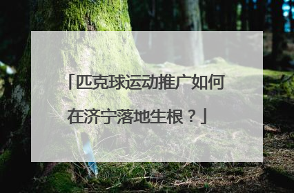 匹克球运动推广如何在济宁落地生根？