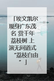 埃文凯尔现身广东茂名 赏千年荔枝树 上演无间道式“荔枝自由”