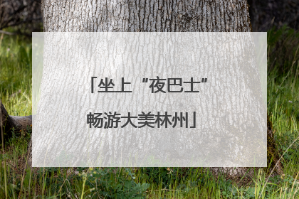 坐上“夜巴士” 畅游大美林州