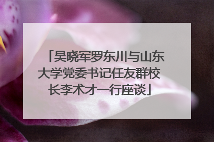 吴晓军罗东川与山东大学党委书记任友群校长李术才一行座谈