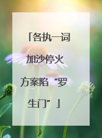 各执一词 加沙停火方案陷“罗生门”