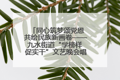 同心筑梦颂党恩 共绘民族新画卷——九水街道“学榜样 促实干”文艺晚会唱响民族团结主旋律