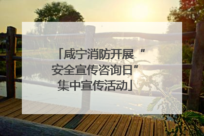 咸宁消防开展“安全宣传咨询日”集中宣传活动