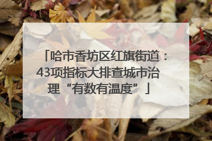 哈市香坊区红旗街道：43项指标大排查城市治理“有数有温度”