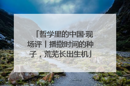 哲学里的中国·现场评丨播撒时间的种子，荒芜长出生机