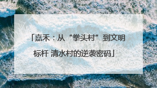 嘉禾：从“拳头村”到文明标杆 清水村的逆袭密码