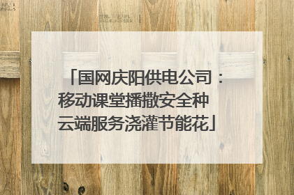 国网庆阳供电公司：移动课堂播撒安全种 云端服务浇灌节能花