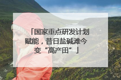 国家重点研发计划赋能，昔日盐碱滩今变“高产田”