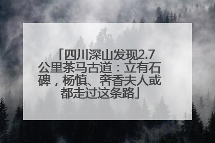 四川深山发现2.7公里茶马古道：立有石碑，杨慎、奢香夫人或都走过这条路