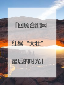 回顾合肥网红猴“大壮”最后的时光