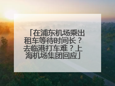 在浦东机场乘出租车等待时间长？去临港打车难？上海机场集团回应