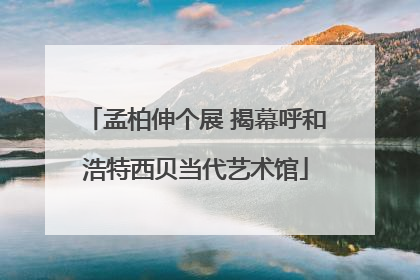 孟柏伸个展 揭幕呼和浩特西贝当代艺术馆
