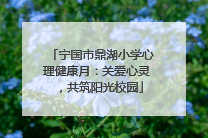 宁国市鼎湖小学心理健康月：关爱心灵，共筑阳光校园
