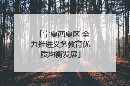 宁夏西夏区 全力推进义务教育优质均衡发展