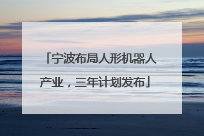 宁波布局人形机器人产业，三年计划发布