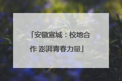 安徽宣城：校地合作 澎湃青春力量