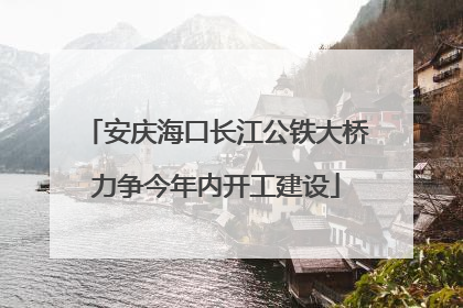 安庆海口长江公铁大桥力争今年内开工建设