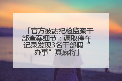 官方披露纪检监察干部查案细节：调取停车记录发现3名干部假“办事”真麻将