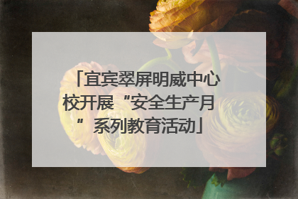 宜宾翠屏明威中心校开展“安全生产月”系列教育活动