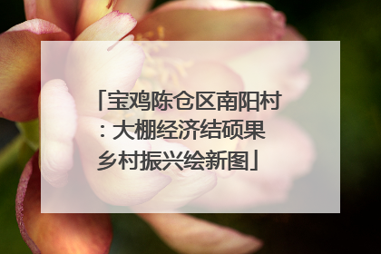 宝鸡陈仓区南阳村：大棚经济结硕果 乡村振兴绘新图