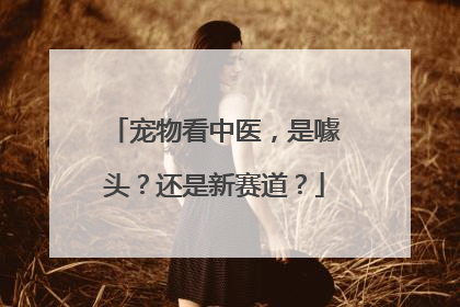 宠物看中医，是噱头？还是新赛道？