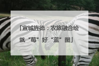 宣城旌德：农旅融合绘就“莓”好“蓝”图