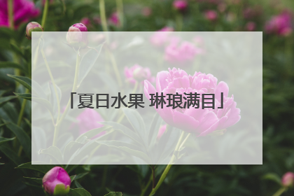 夏日水果 琳琅满目