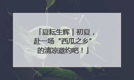 夏耘生辉｜初夏，赴一场“西瓜之乡”的清凉邀约吧！