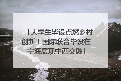 大学生毕设点燃乡村创新！国际联合毕设在宁海展现中西交融