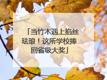当竹木遇上掐丝珐琅！这所学校捧回省级大奖