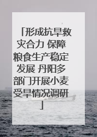 形成抗旱救灾合力 保障粮食生产稳定发展 丹阳多部门开展小麦受旱情况调研