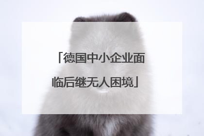 德国中小企业面临后继无人困境
