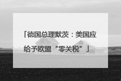 德国总理默茨：美国应给予欧盟“零关税”