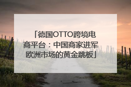德国OTTO跨境电商平台：中国商家进军欧洲市场的黄金跳板